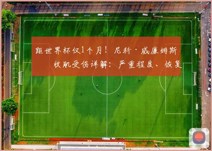 距世界杯仅1个月！尼科·威廉姆斯内收肌受伤详解：严重程度、恢复时间及对西班牙队的影响